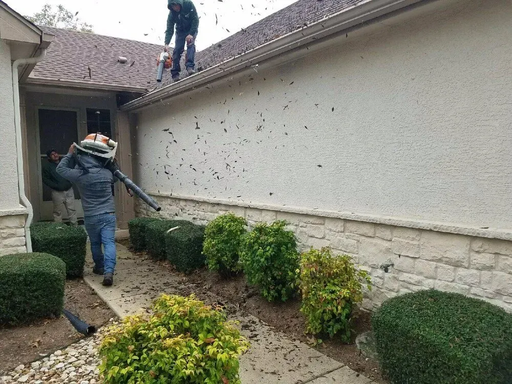 austin tree service - gallery image 11