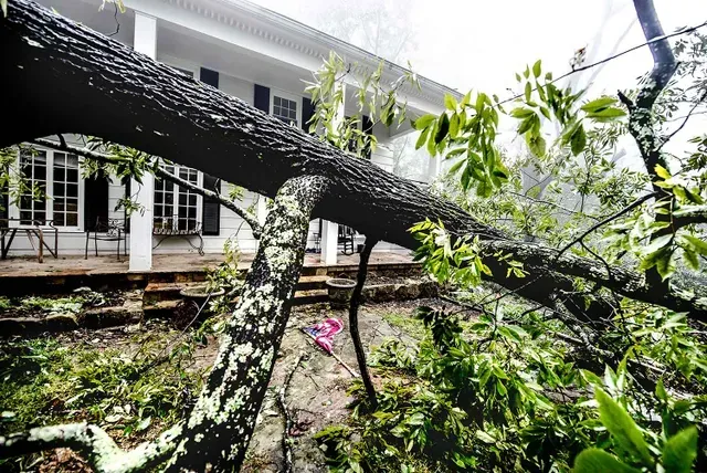 austin storm damage