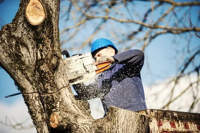land clearing austin tx