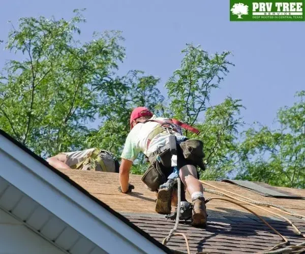 Two workers wearing safety harnesses working on a residential shingle roof under a clear blue sky.