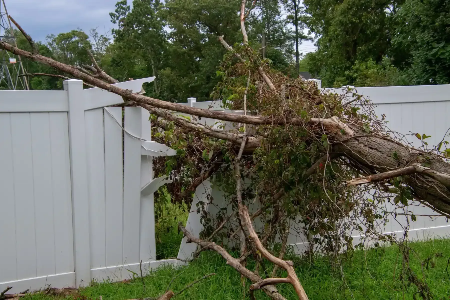 storm damage Austin TX