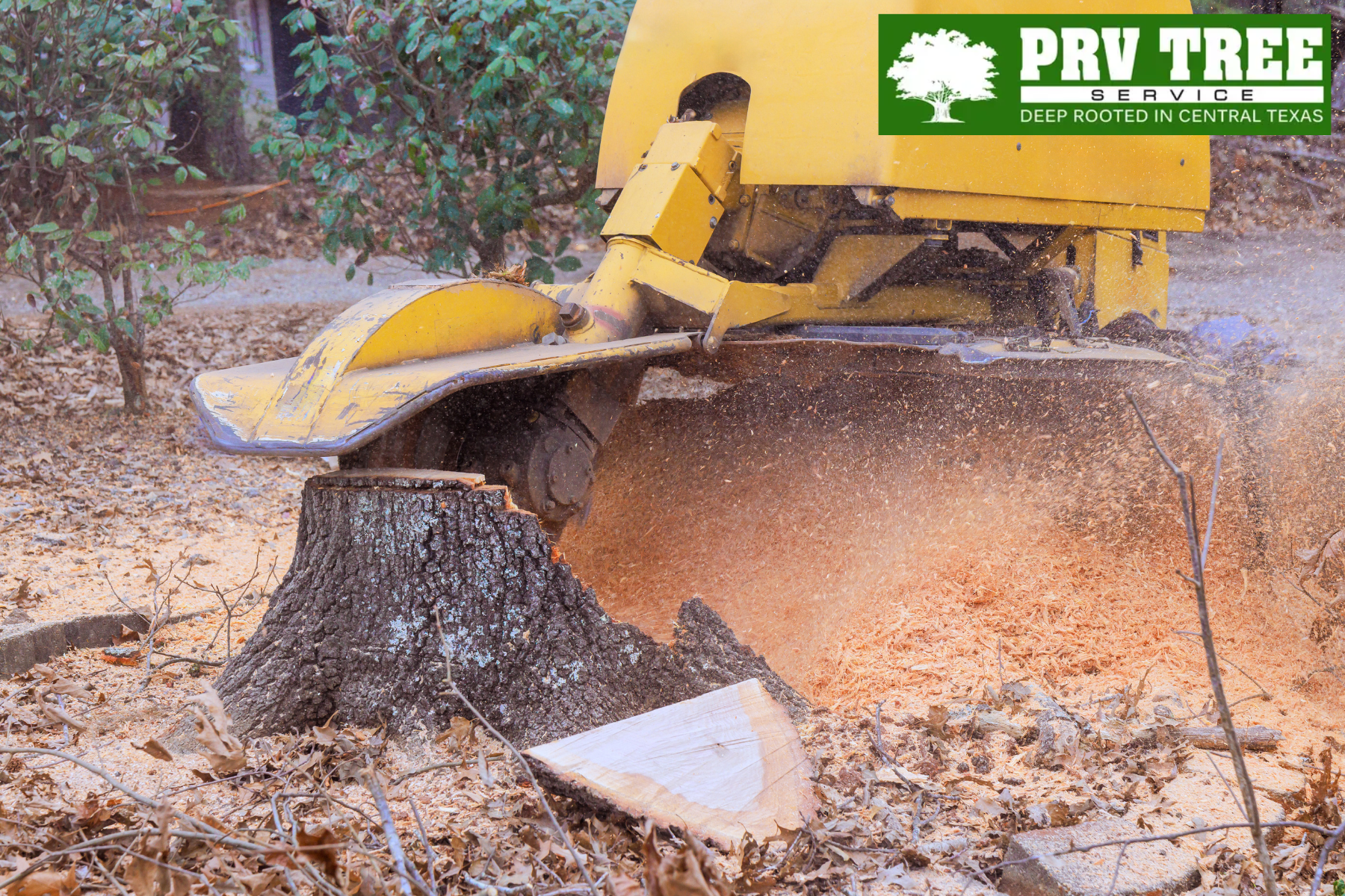 stump removal
