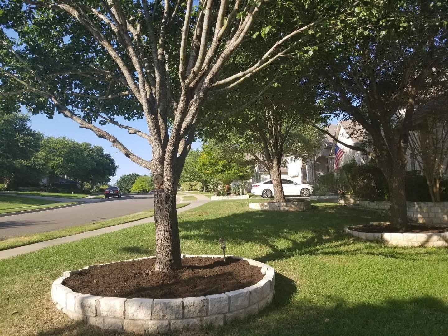austin tree service - gallery image 5