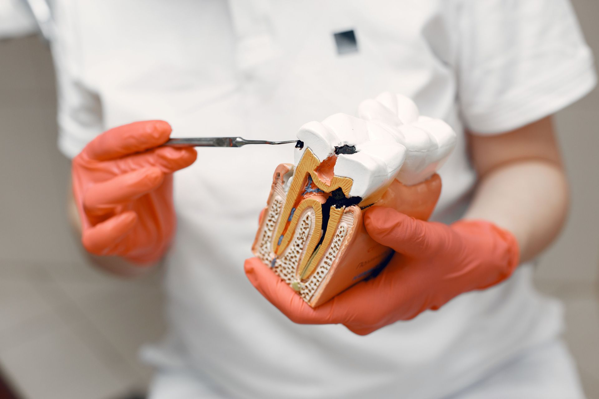 dental health services in Mesa, AZ
