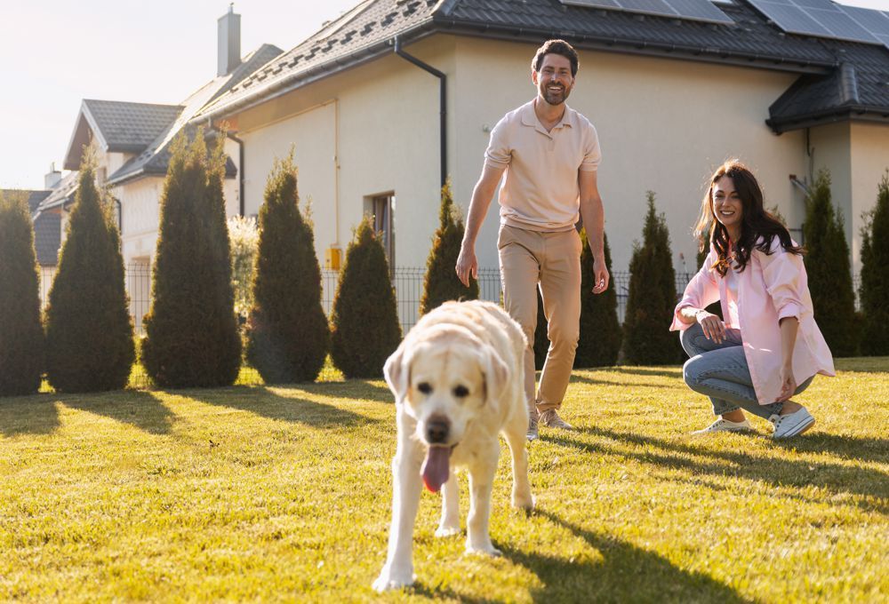 Woman and man with a dog on a sunny lawn in front of a house