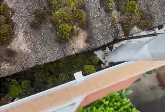 Moss-covered stone wall beside a white railing and green plants, viewed from above