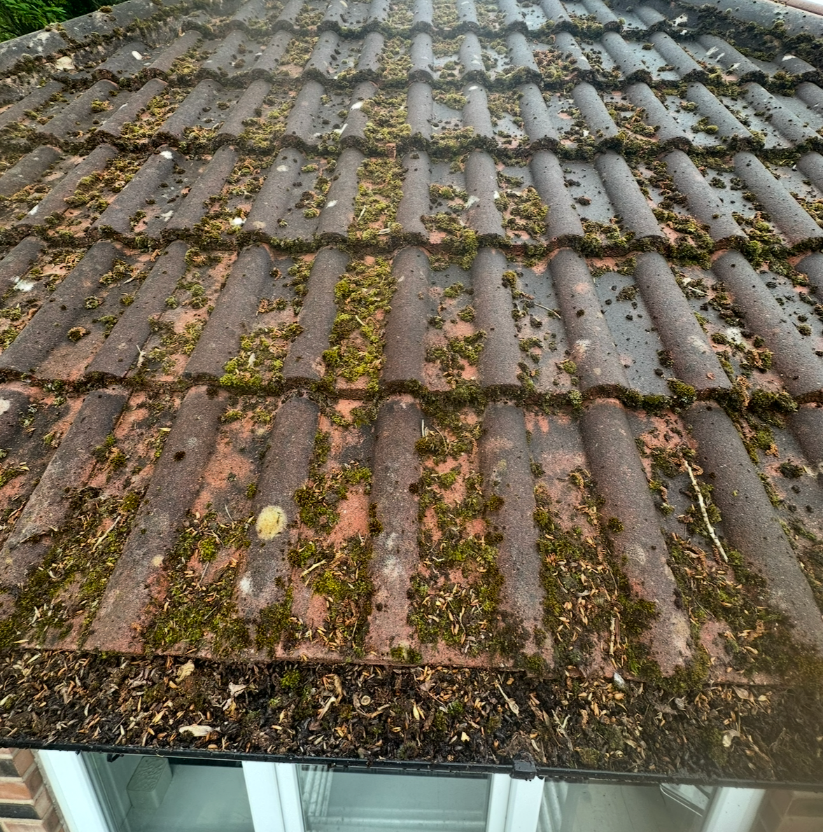 Close-up of a moss-covered corrugated roof with weathered tiles and debris.