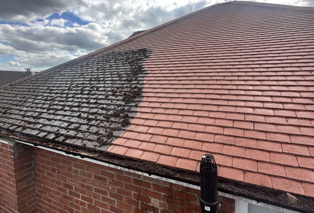 House roof with dark moss staining one side and red tiles on the rest under a cloudy sky