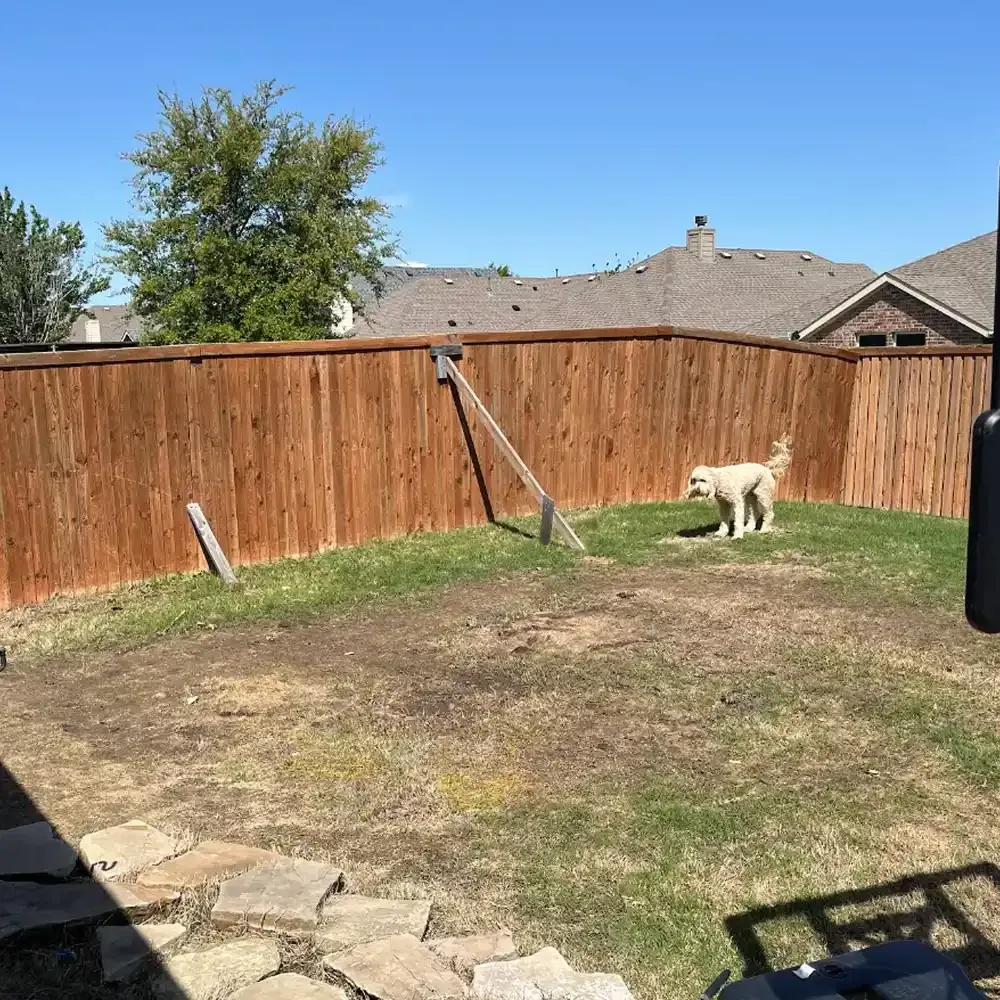 Shed demolition