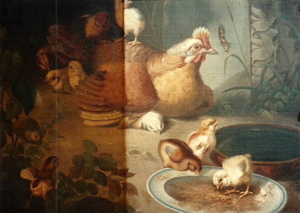Photo Of Chicken And Chicks — Fort Worth, TX — Dow Art Galleries