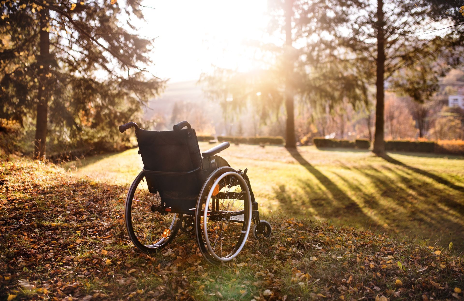 An empty wheelchair parked on a grassy path covered in autumn leaves, illuminated by the warm glow of sunset.