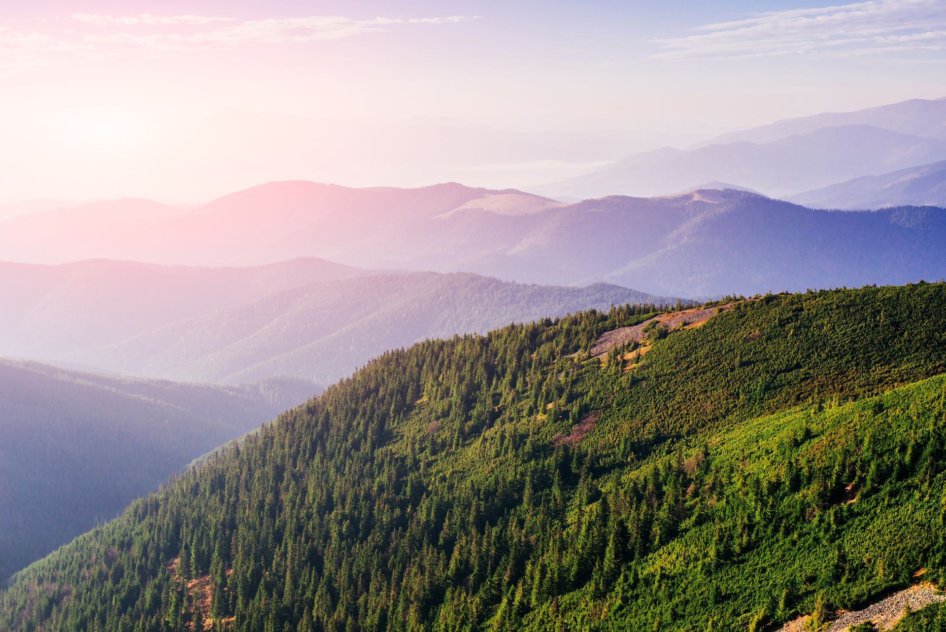 Layers of green, pine-covered mountain slopes fade into misty blue peaks under a bright, pink-hued sunset sky.