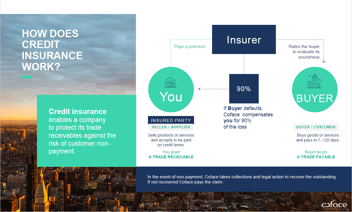 Infographic showing the relationship between You - Insurer - Buyer in a credit insurance process.