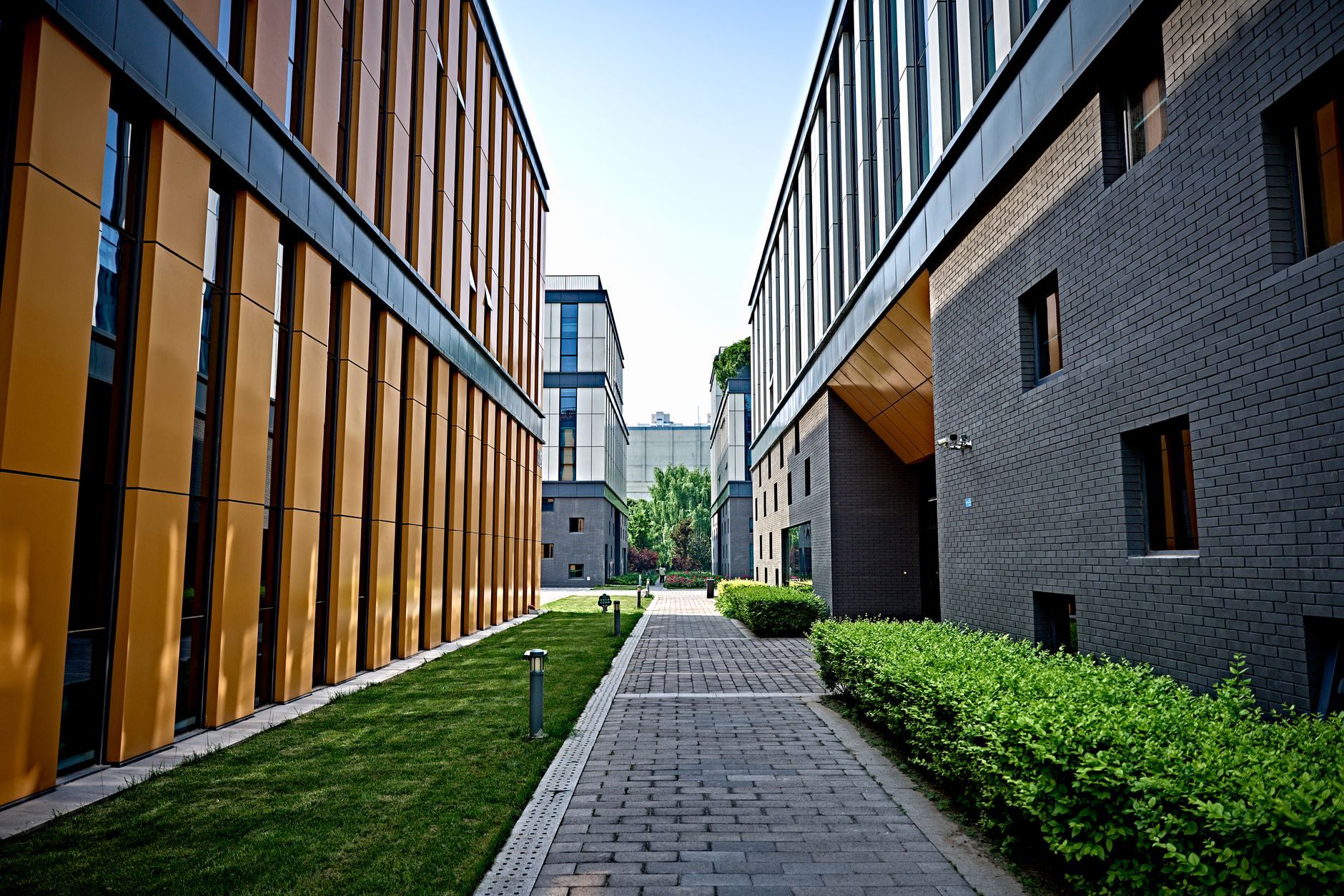 Modern courtyard walkway between two buildings with brick paving and green shrubs