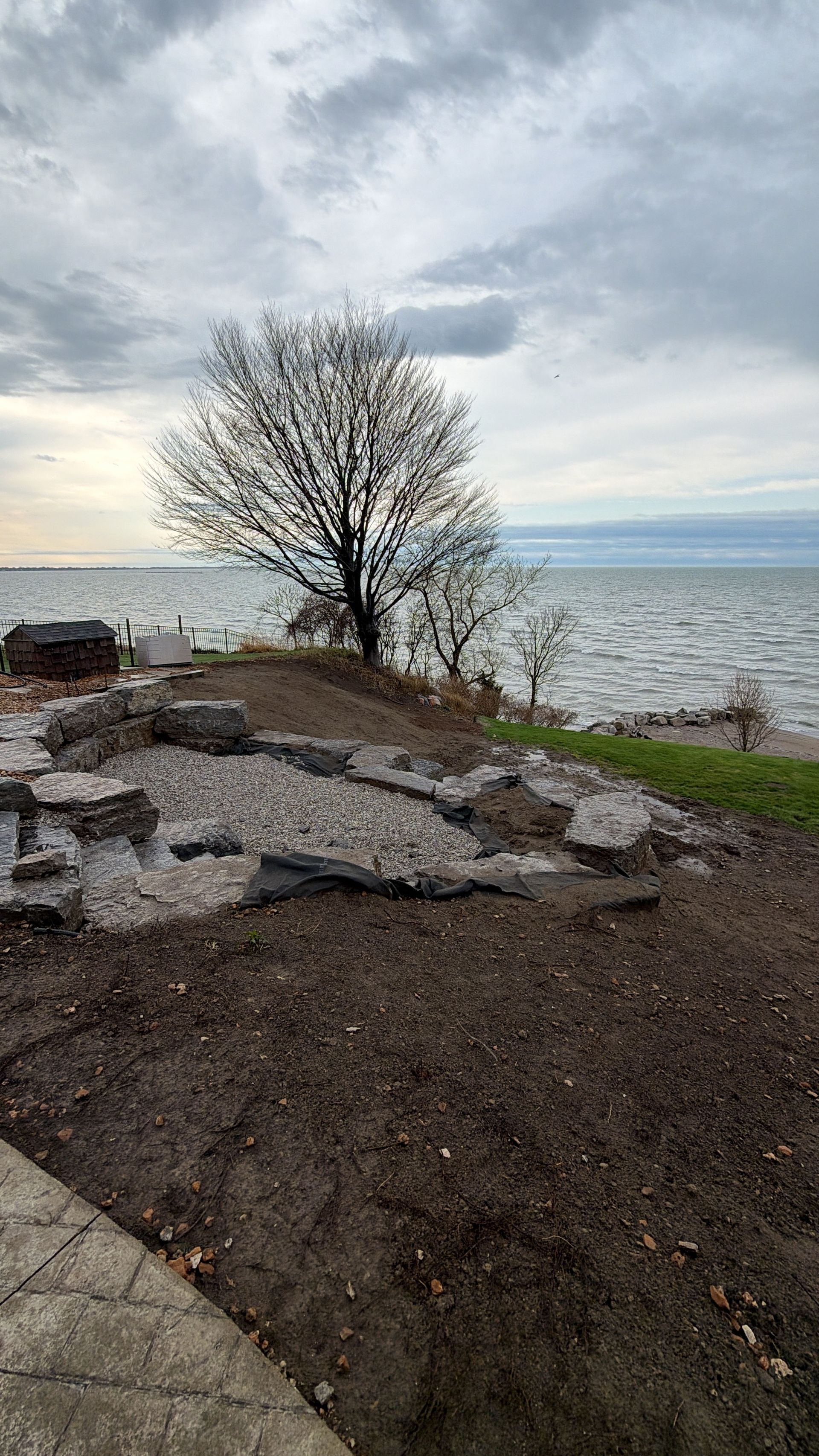 Bare rocky shoreline with a leafless tree overlooking a calm lake under a cloudy sky