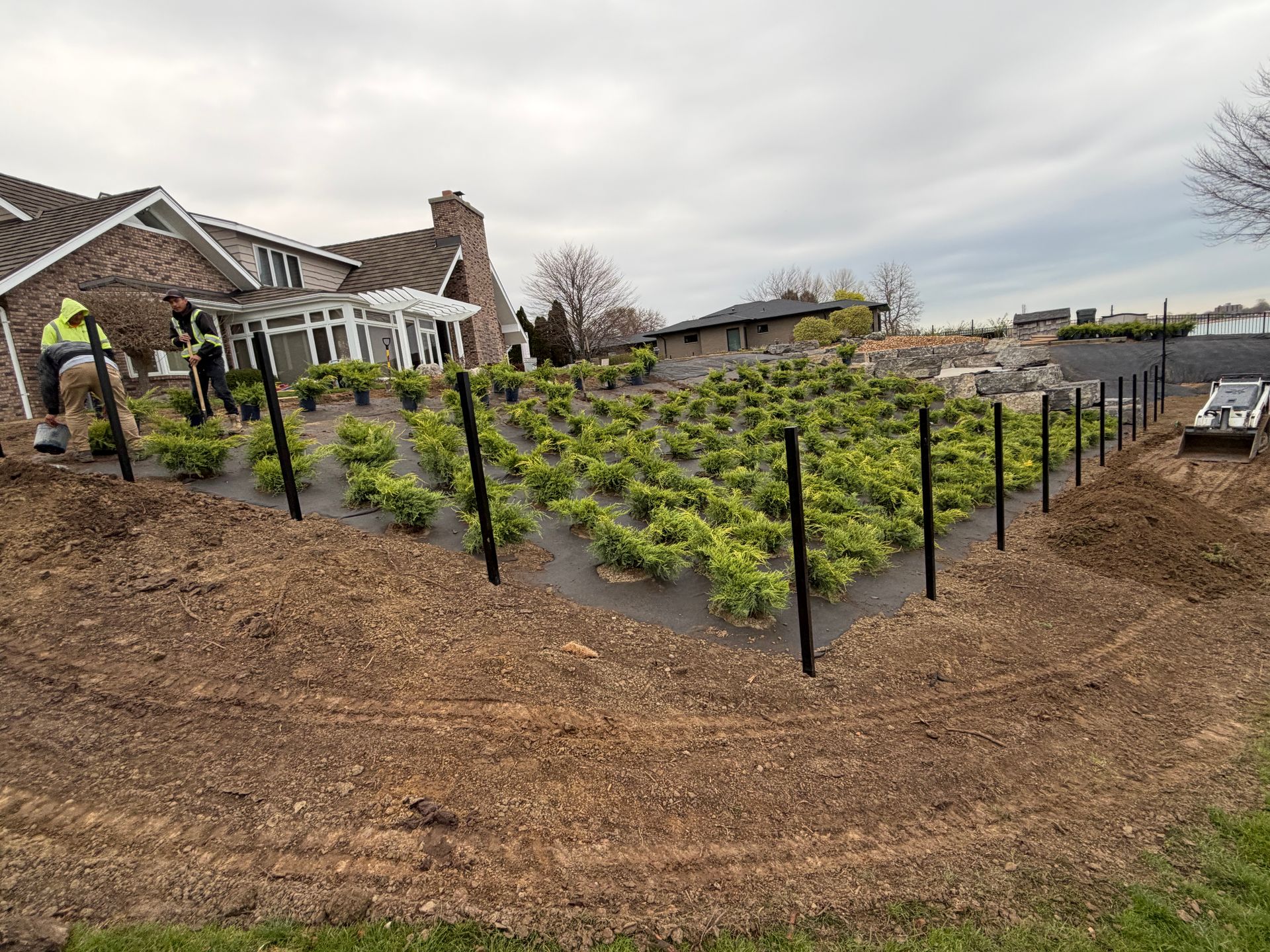 Sloped garden with rows of small green plants, black posts, and a house in the background under cloudy skies