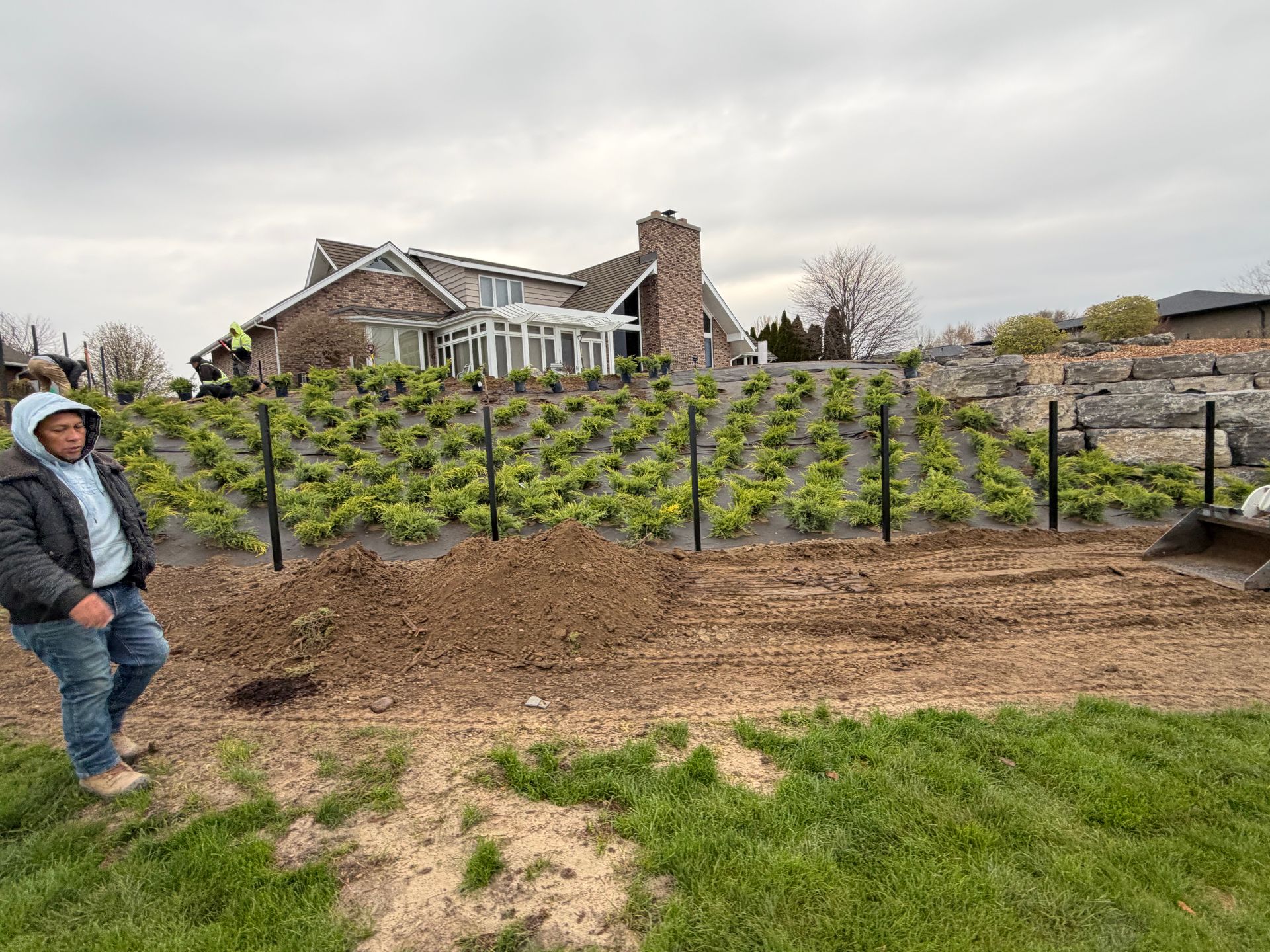 Person standing in a vineyard beside a house and stone wall under a cloudy sky