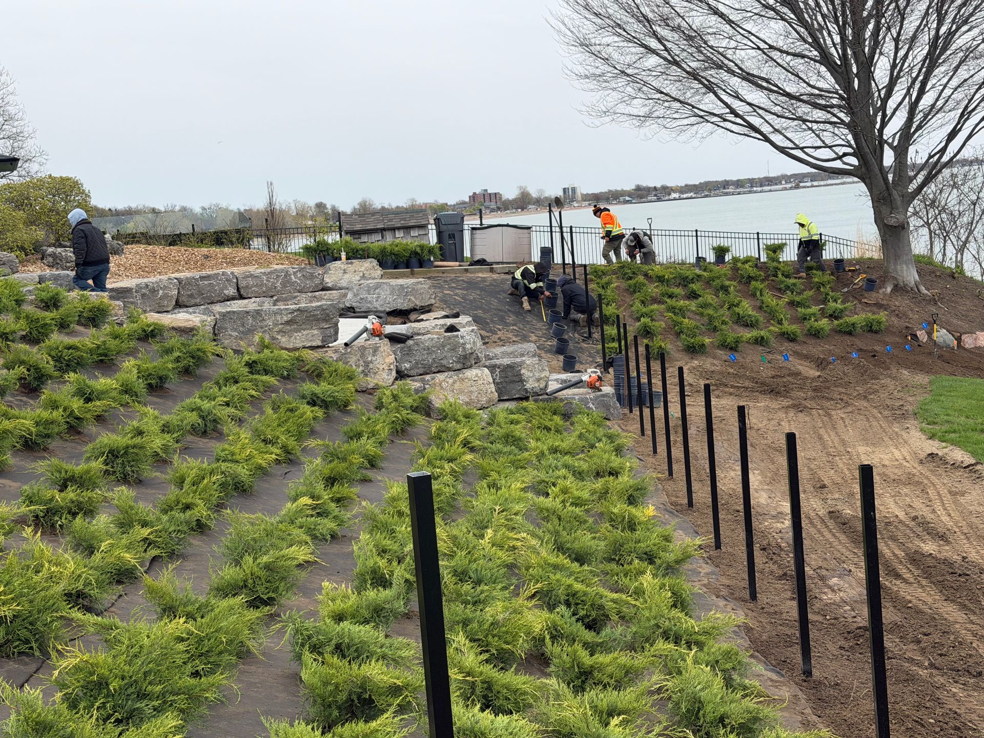 Terraced garden with young green plants, black stakes, and workers near a waterfront wall