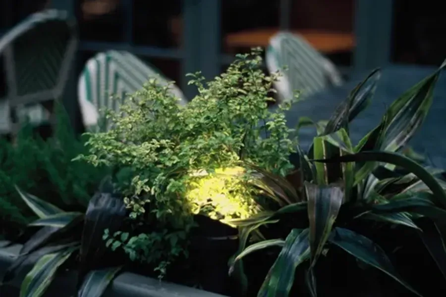Dimly lit garden plants with a bright yellow-green light shining on foliage and patio chairs in the background