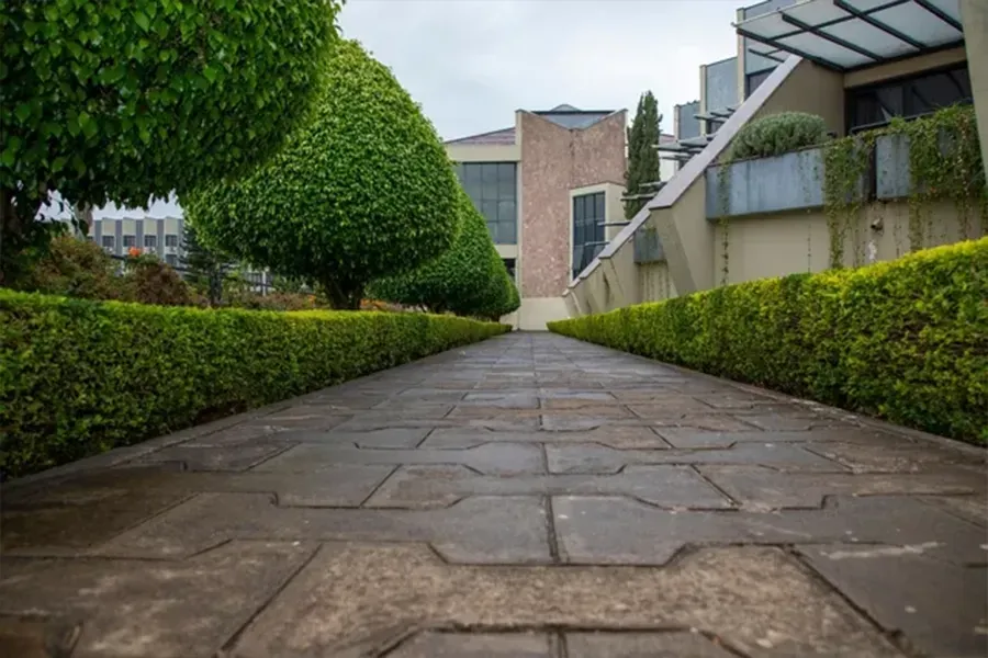 Stone walkway between manicured hedges leading past modern buildings in a courtyard