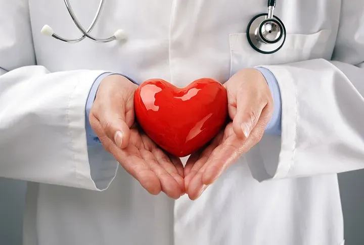 Holding a Heart — New Rochelle, NJ — DiVagno Interventional Cardiology Holding a Heart — New Rochelle, NJ — DiVagno Interventional Cardiology