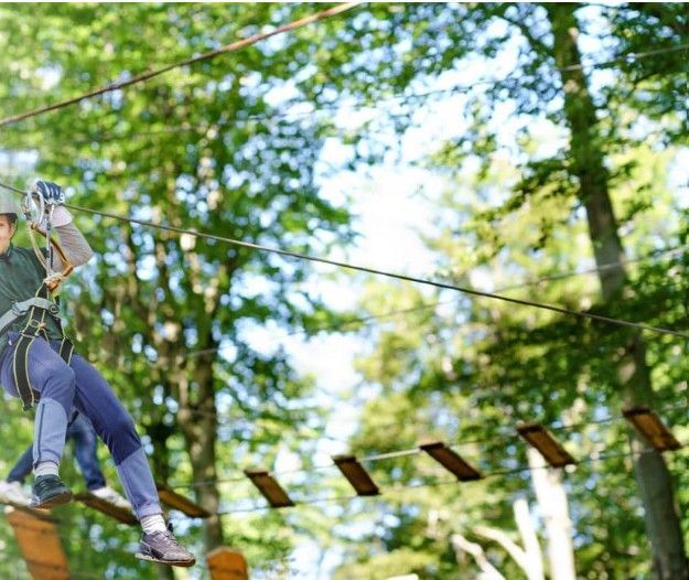 hoog in bomen avontuur
