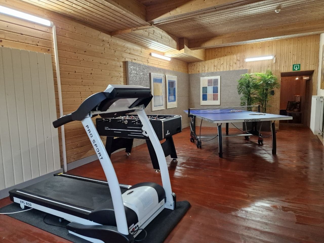 tafelvoetbal pingpong dart
