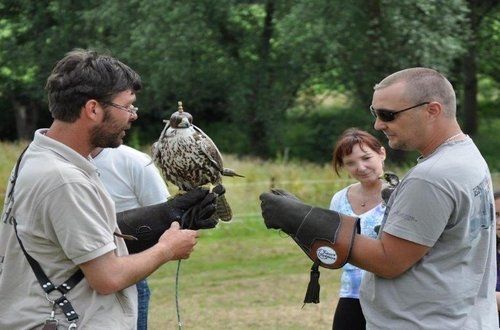 roofvogels demo en workshops op vakantieadres