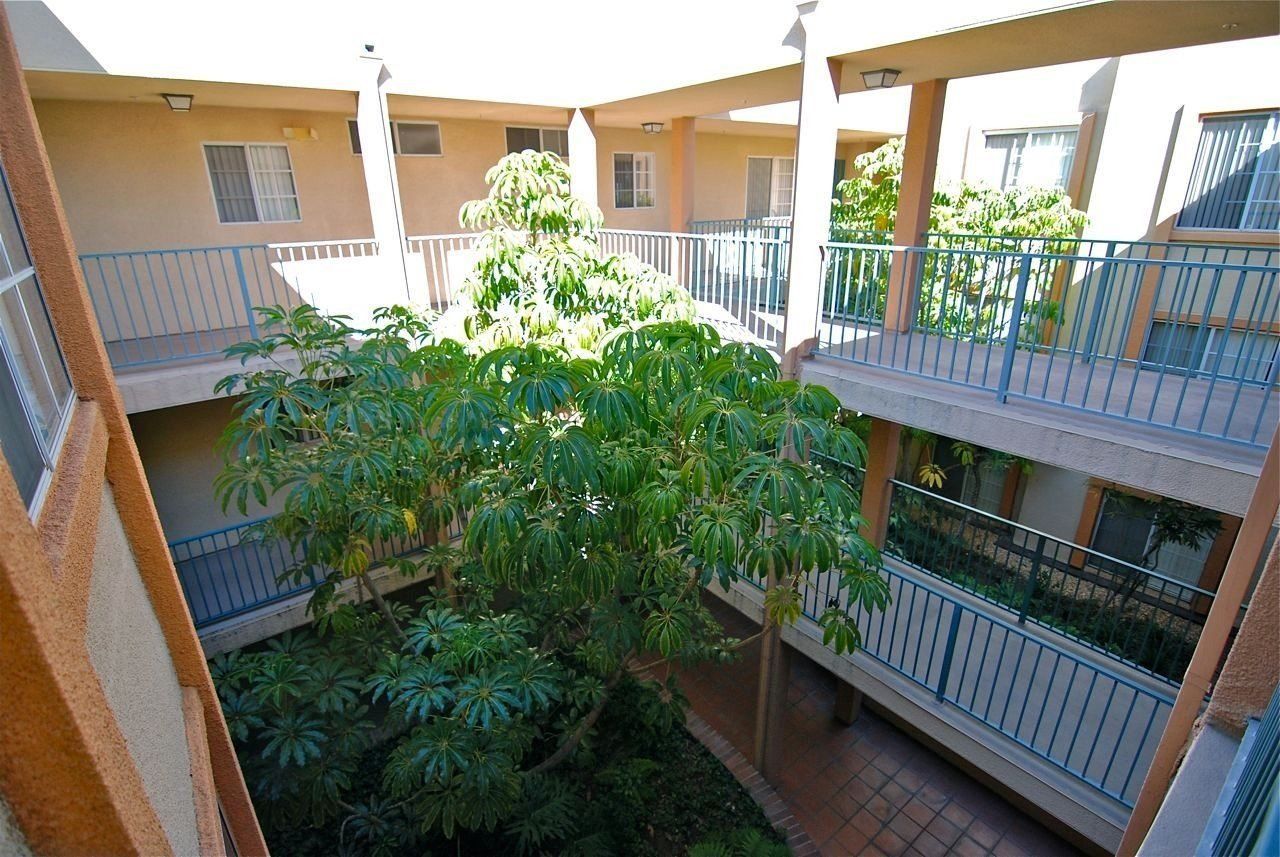 Maravilla Common Area Trees Photo