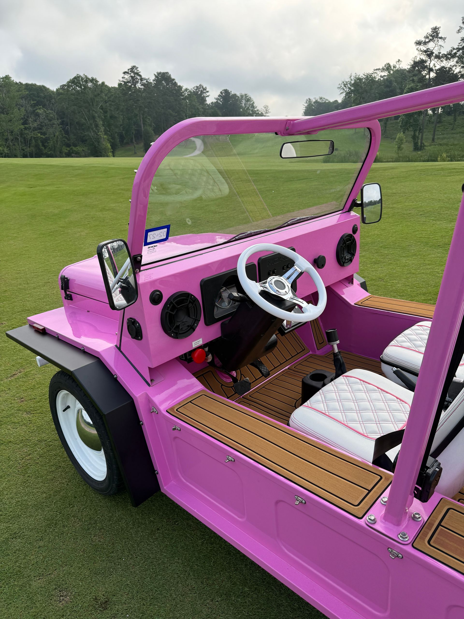 2018 Pink 