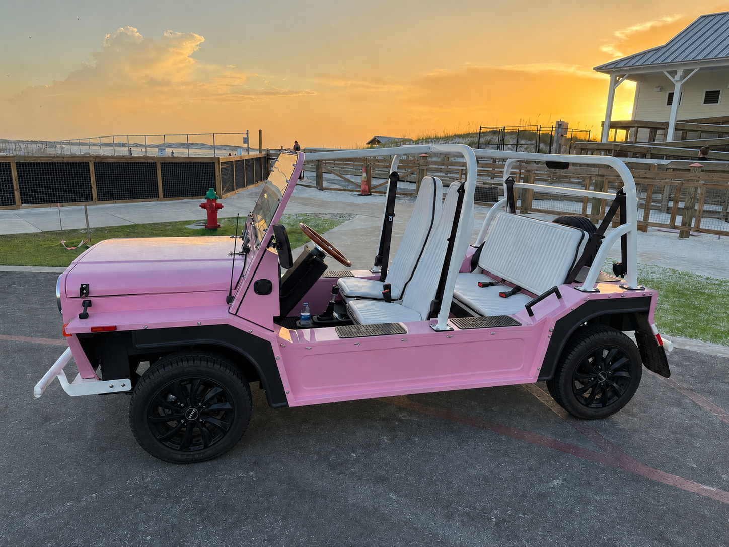 2020 Pink 