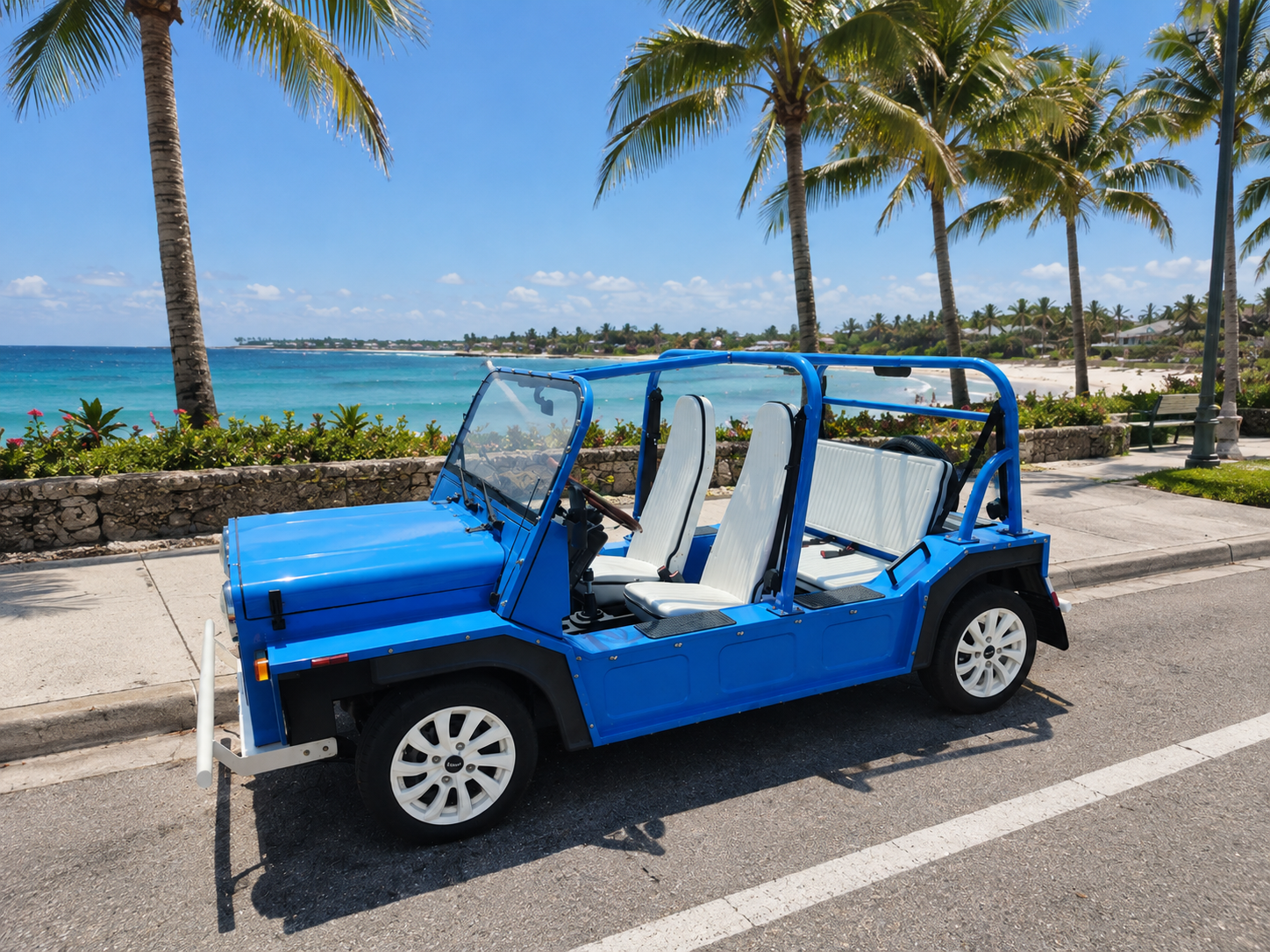 Blue open-top beach moke parked beside a palm-lined waterfront road under a sunny sky