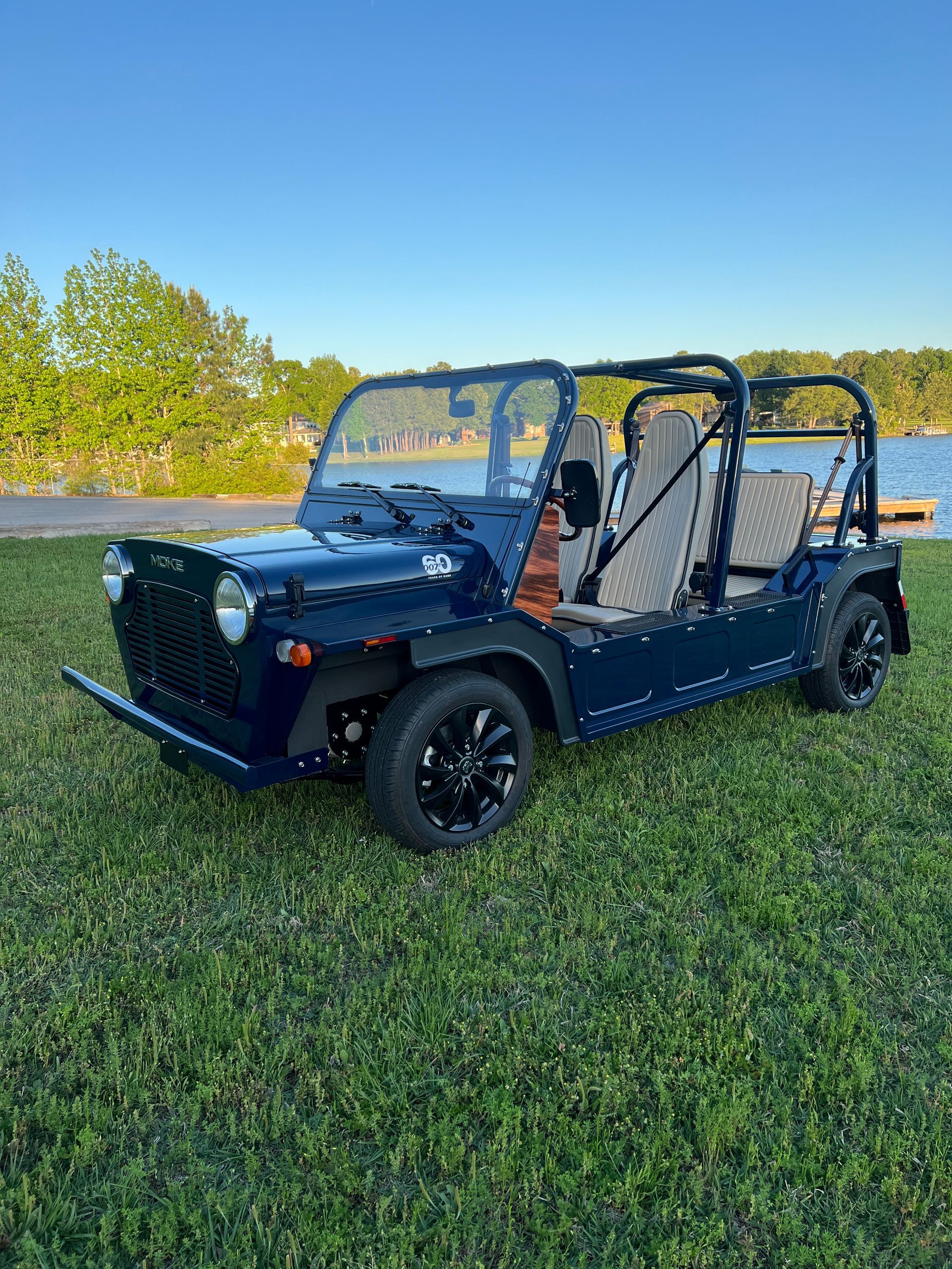Dark blue Moke vehicle parked on grass near a body of water.