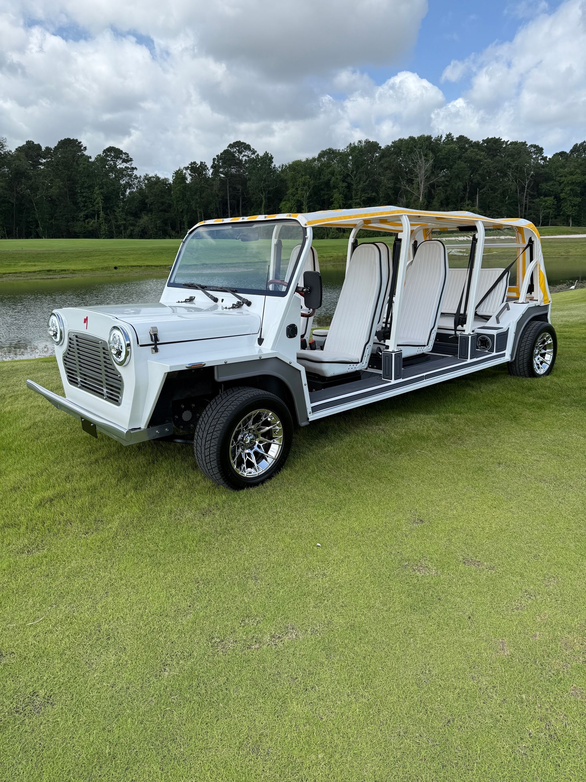 White multi-passenger golf cart on green grass near a pond, under a cloudy sky.