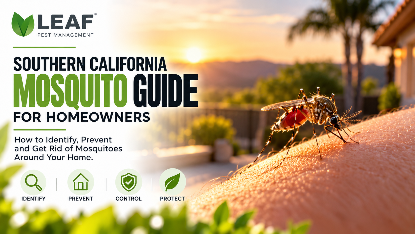 mosquito control Thousand Oaks,prevent mosquitoes at home,mosquito bite protection