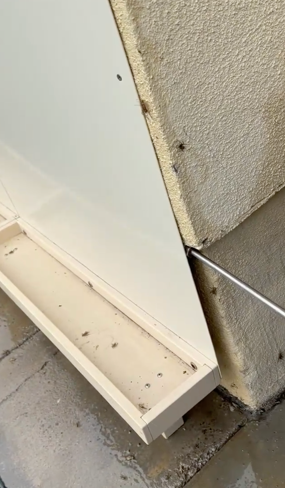 White door edge beside textured wall and floor, with a small dusty baseboard ledge and a wire on the ground