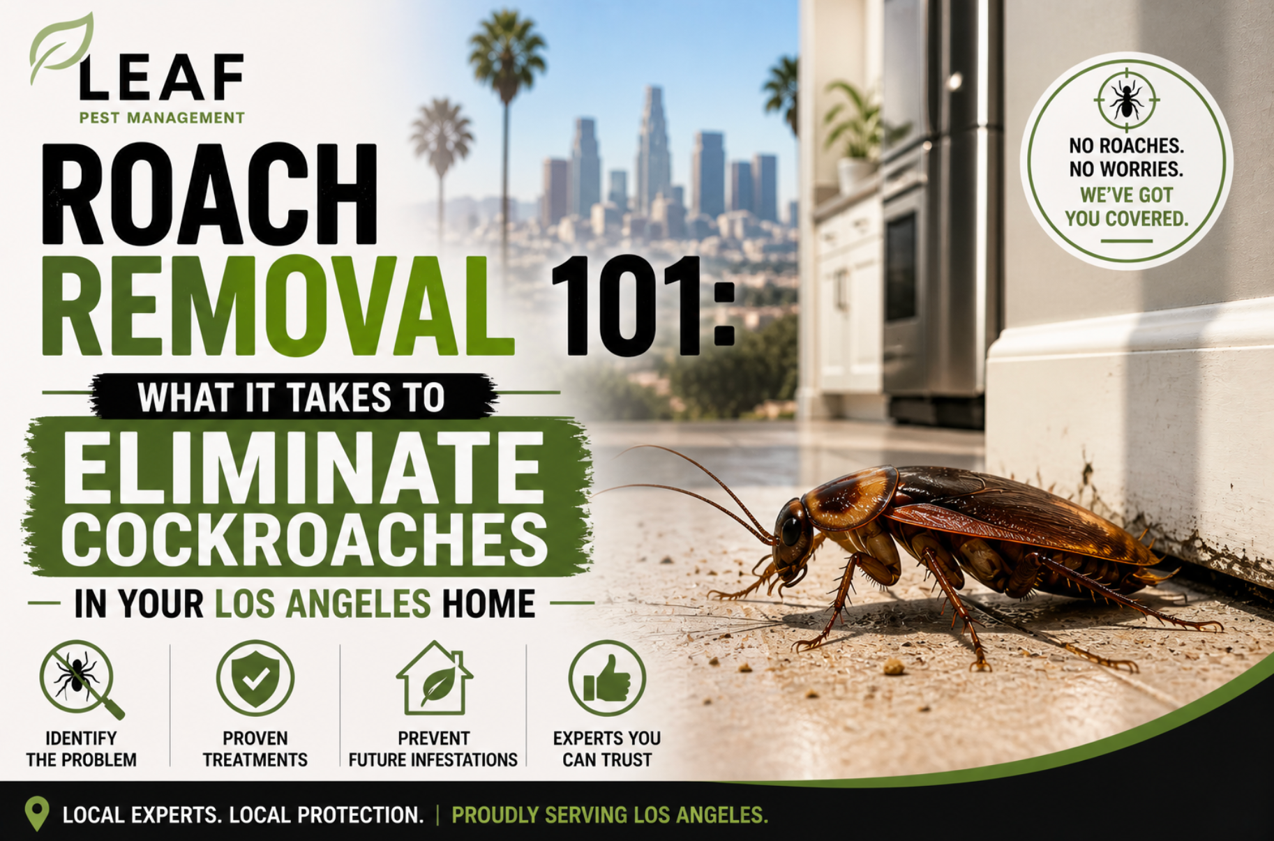 homeowner roach control guide