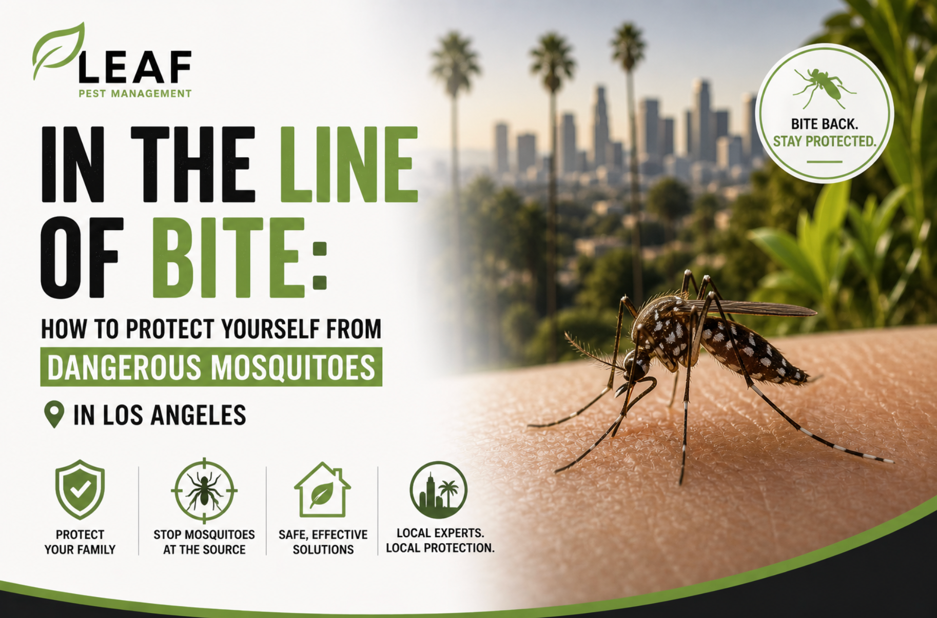 mosquito control Thousand Oaks,prevent mosquitoes at home,mosquito bite protection