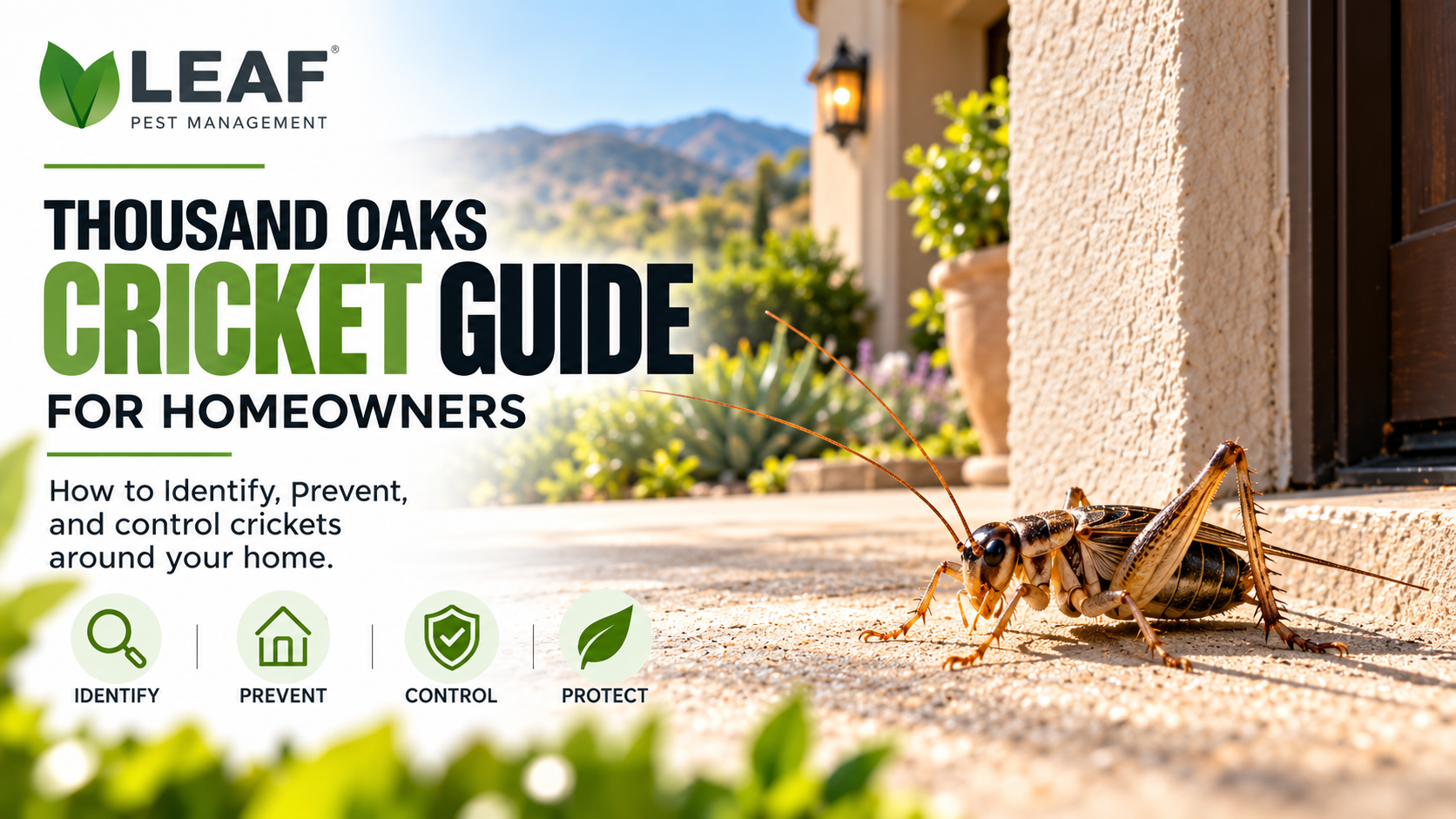 cricket control thousand oaks,prevent crickets home,cricket infestation tips