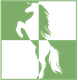 a white horse is standing on its hind legs on a green and white checkered background .