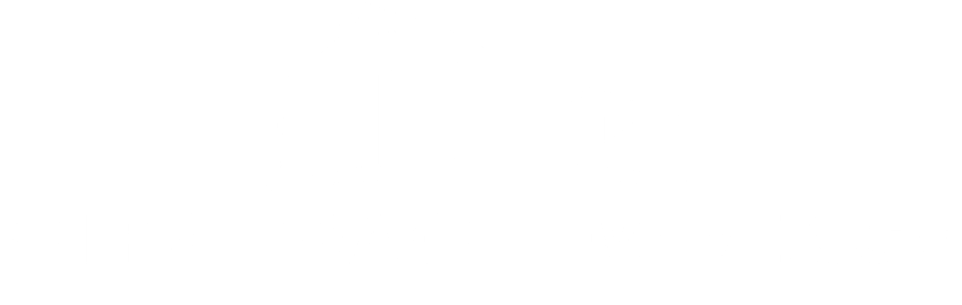 Self Storage New Mexico Logo