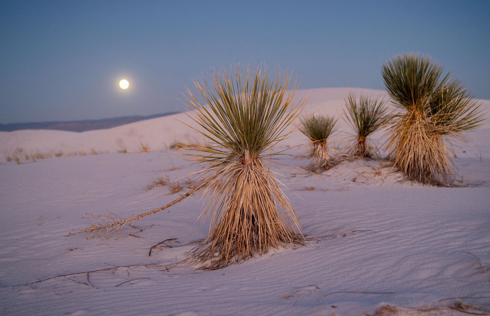 White Sands National Park