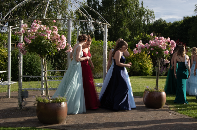 Prom Photo
