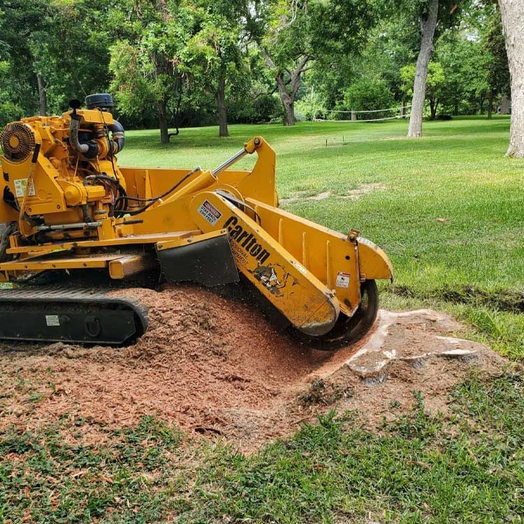 A yellow stump grinder is cutting a tree stump in a park.