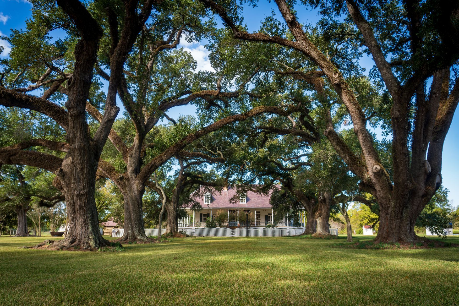 Large oak trees framing a white house with a pink roof on a sunny lawn