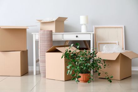 Scatoloni, piante in vaso e mobili sul pavimento, a indicare i preparativi per il trasloco.