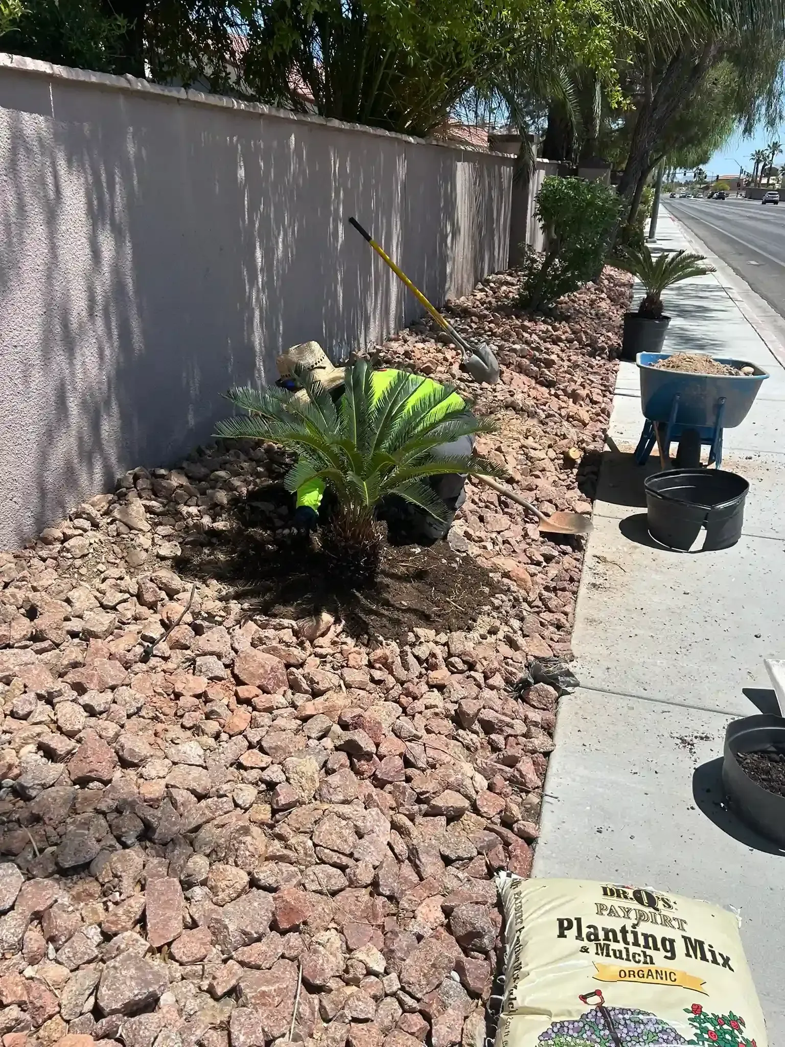 Landscaped sidewalk with rocks, a small green plant, and a utility cart beside a wall on a sunny day