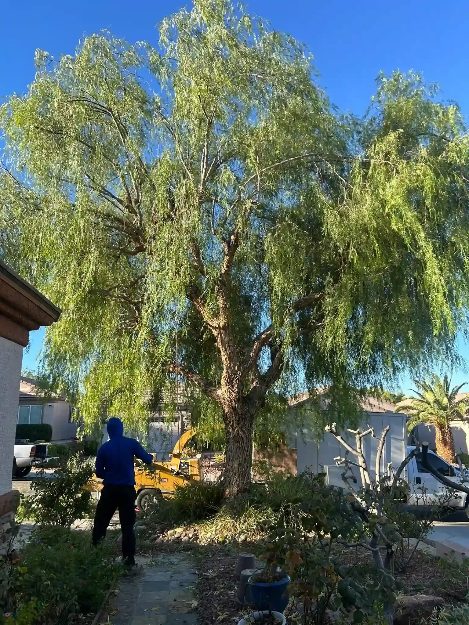 Sidewalk beside parked vehicles and hedges, with a worker in a neon vest under a sunny sky.