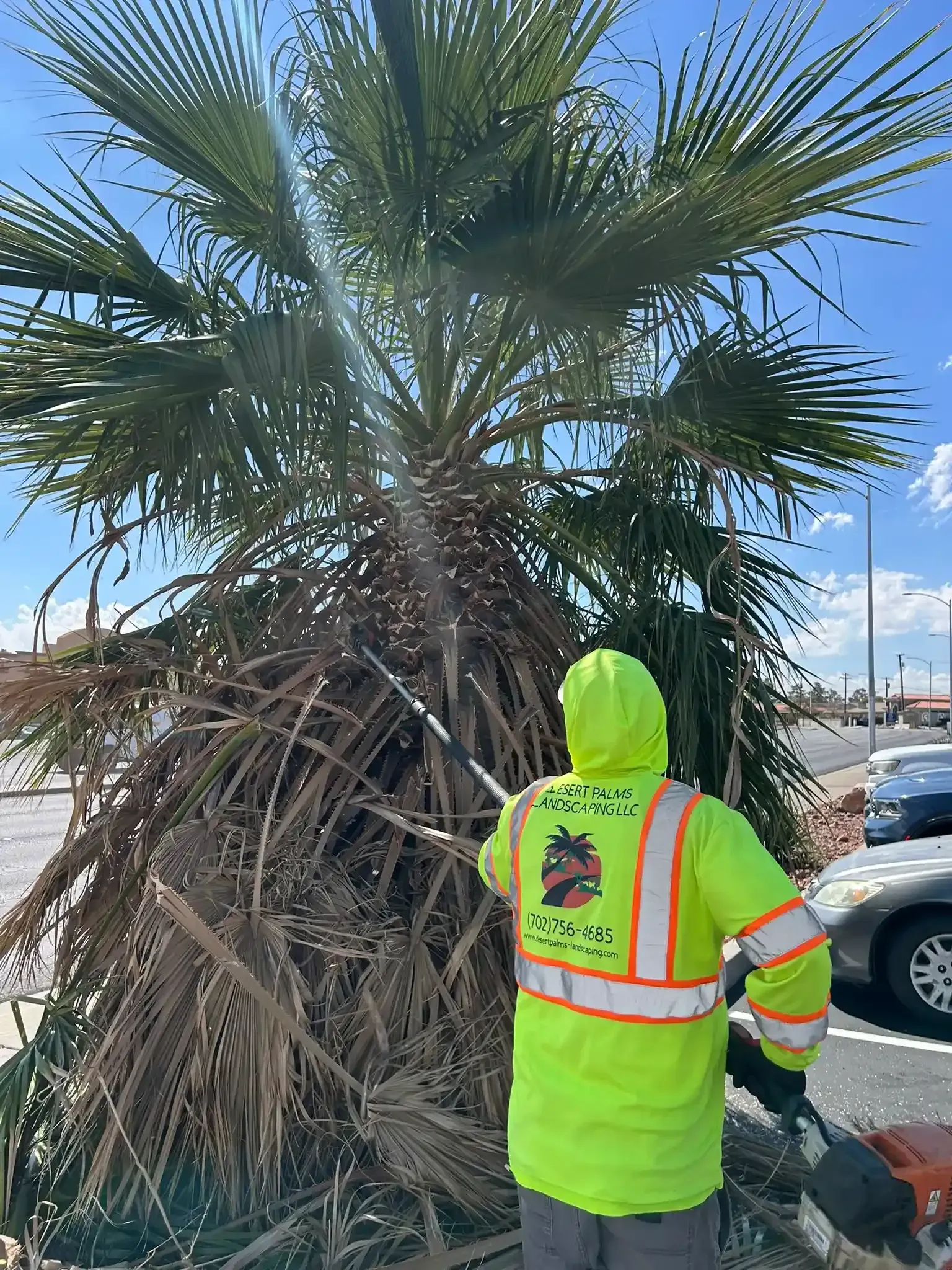 Sidewalk beside a stucco wall with trees, parked van, and construction cones under a blue sky