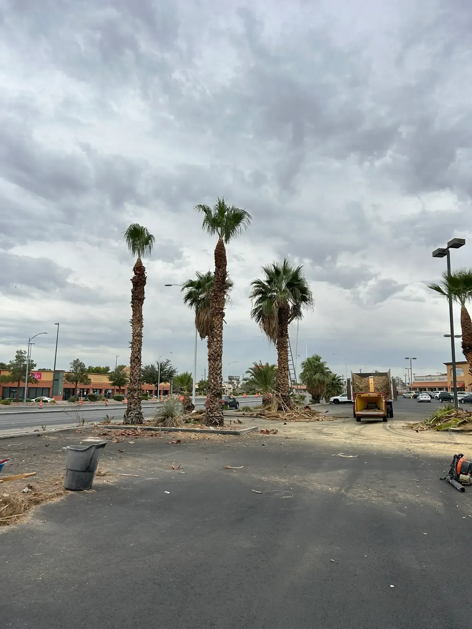 Workers loading a truck on a road beside an orange construction sign and palm trees.
